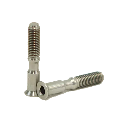 SMR Action Screws
