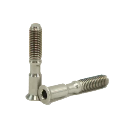 SMR Action Screws